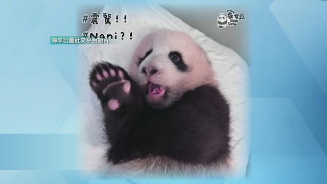 無綫新聞 TVB News
