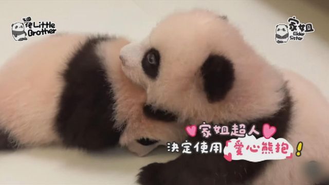 無綫新聞 TVB News