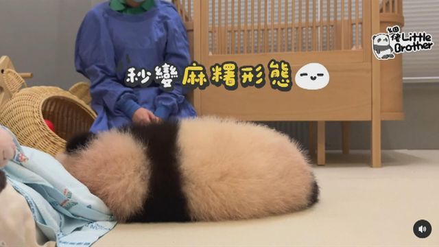 無綫新聞 TVB News