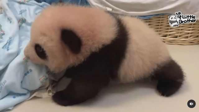 無綫新聞 TVB News