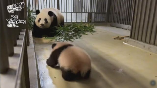 無綫新聞 TVB News