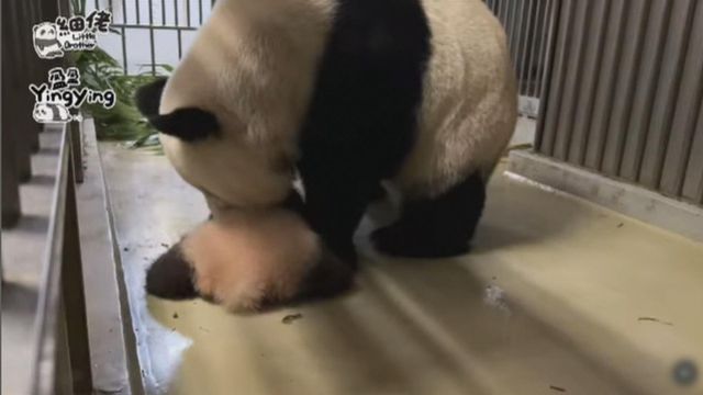 無綫新聞 TVB News