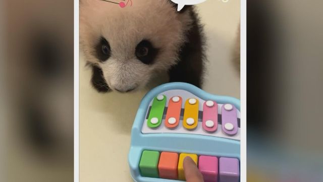 無綫新聞 TVB News