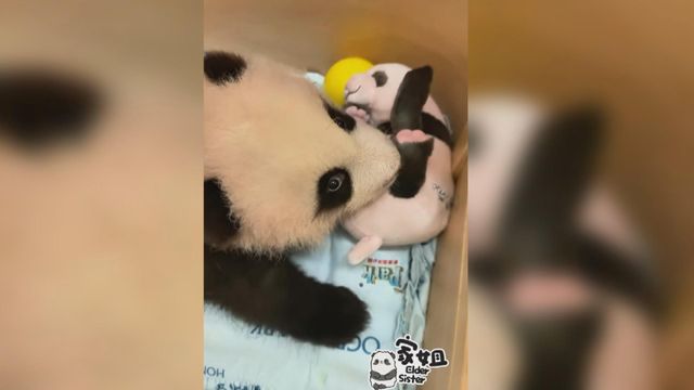 無綫新聞 TVB News