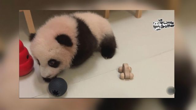 無綫新聞 TVB News