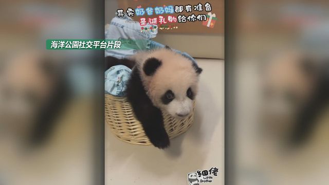 無綫新聞 TVB News