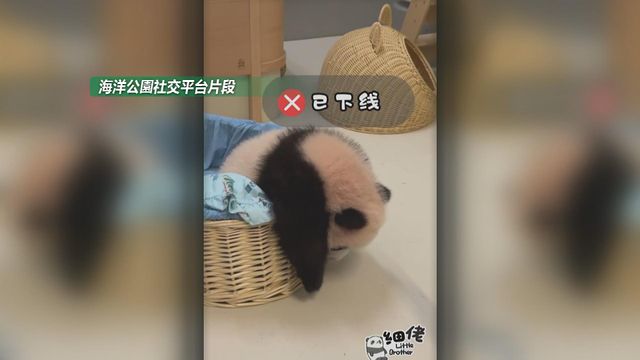 無綫新聞 TVB News