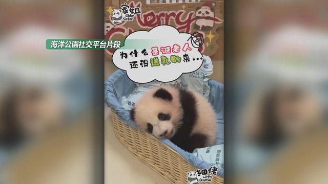 無綫新聞 TVB News