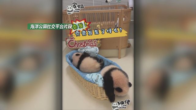 無綫新聞 TVB News