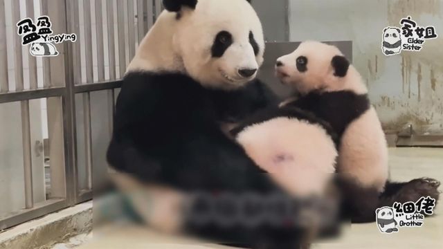 無綫新聞 TVB News