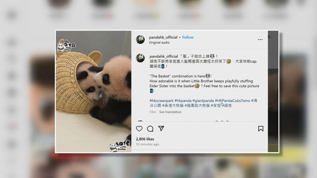 無綫新聞 TVB News