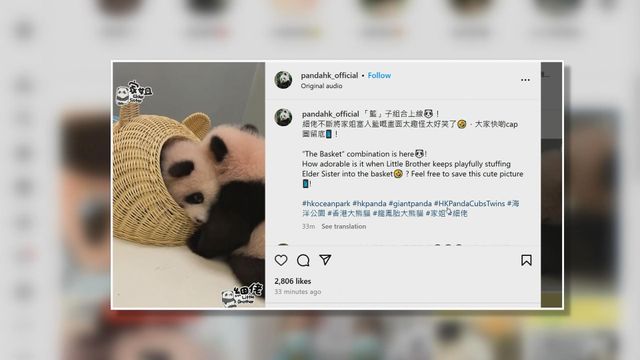 無綫新聞 TVB News