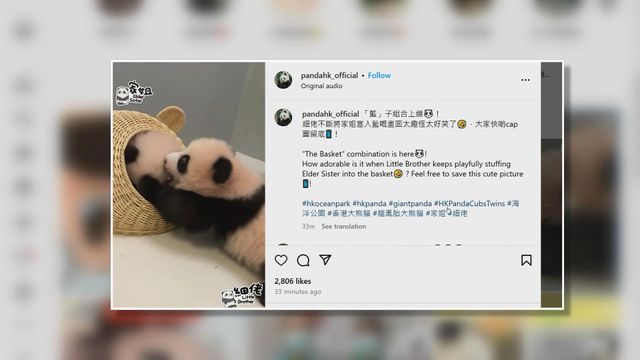 無綫新聞 TVB News