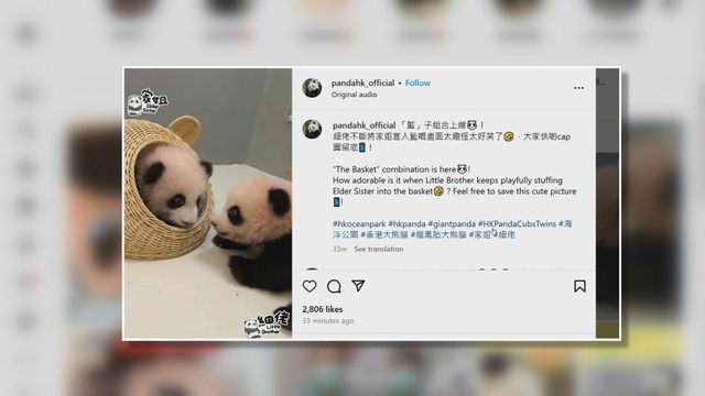 無綫新聞 TVB News