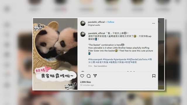 無綫新聞 TVB News