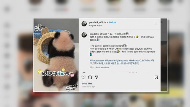 無綫新聞 TVB News