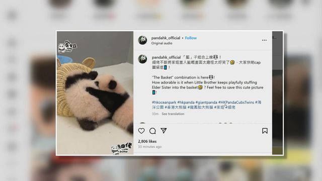 無綫新聞 TVB News