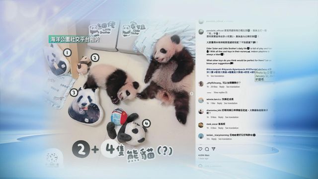 無綫新聞 TVB News