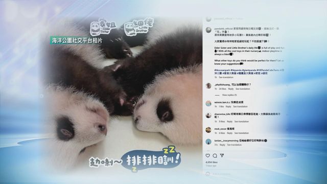 無綫新聞 TVB News