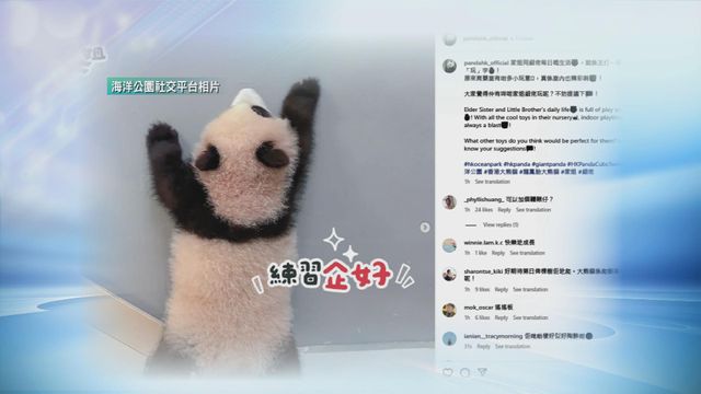 無綫新聞 TVB News