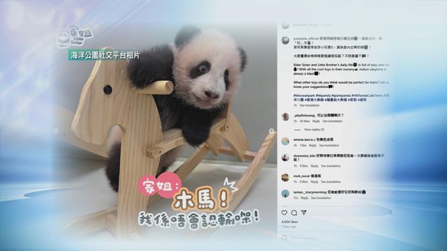 無綫新聞 TVB News