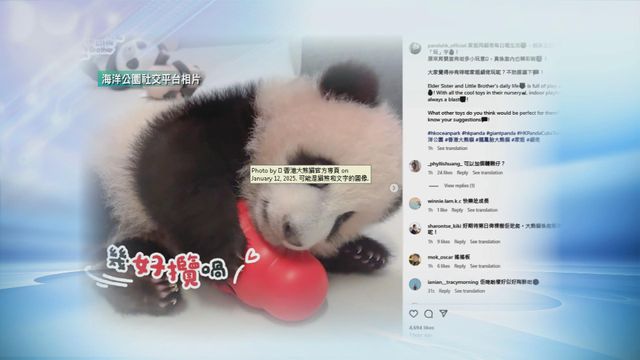 無綫新聞 TVB News