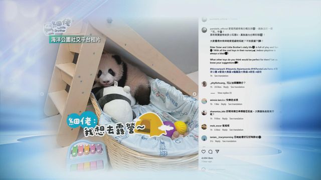 無綫新聞 TVB News