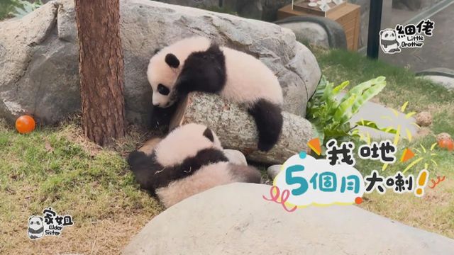 無綫新聞 TVB News