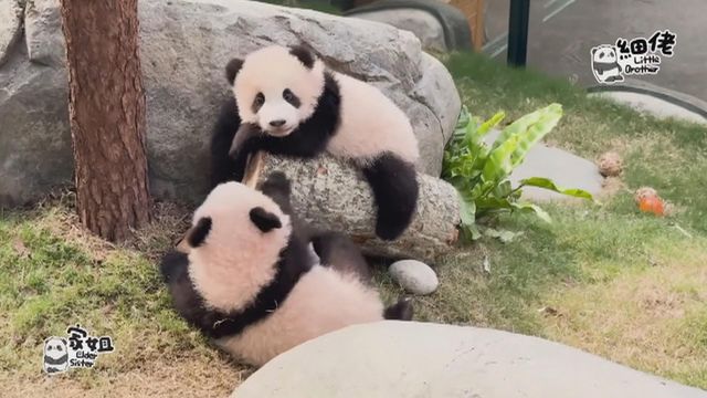 無綫新聞 TVB News