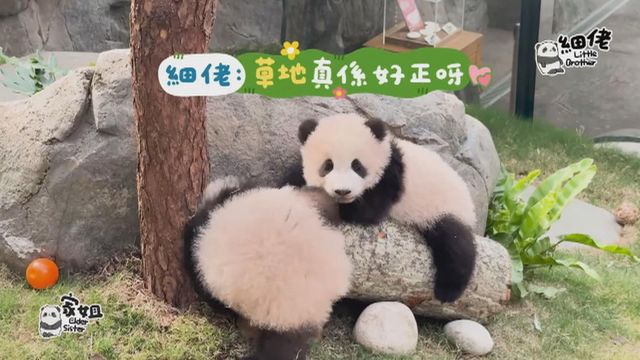 無綫新聞 TVB News