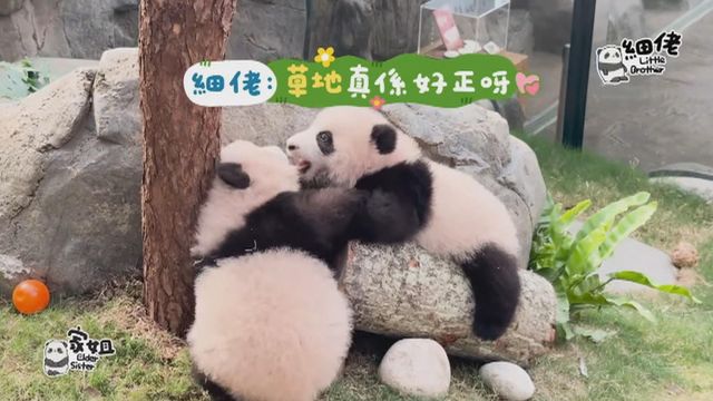 無綫新聞 TVB News