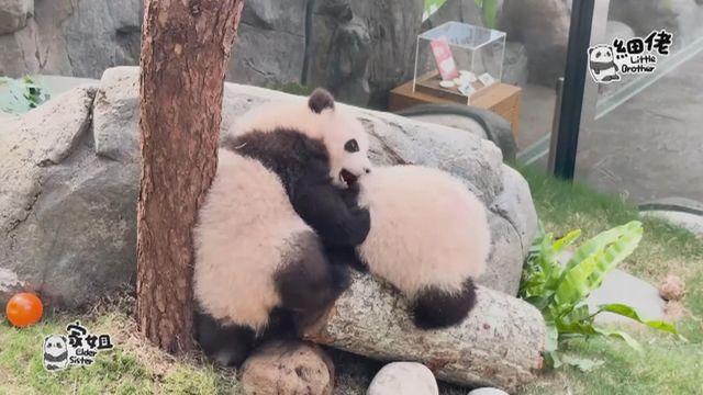 無綫新聞 TVB News