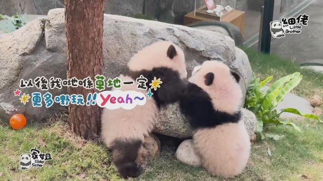 無綫新聞 TVB News