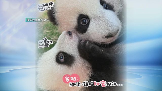 無綫新聞 TVB News