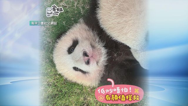 無綫新聞 TVB News