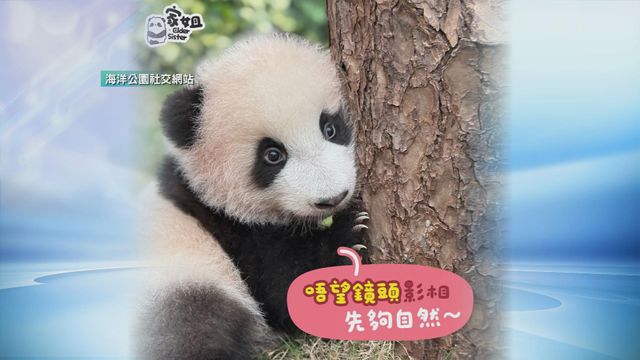 無綫新聞 TVB News