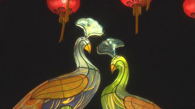 無綫新聞 TVB News