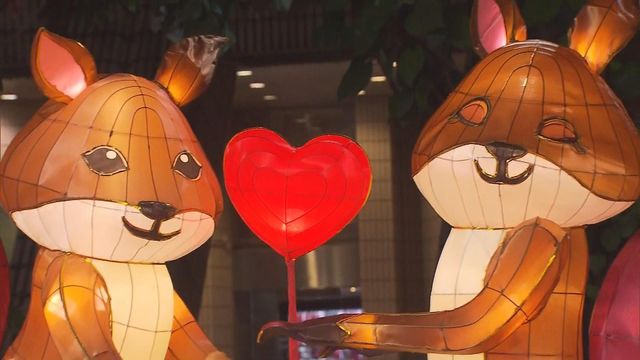 無綫新聞 TVB News
