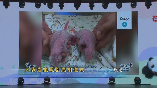 無綫新聞 TVB News