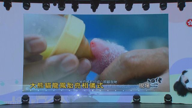 無綫新聞 TVB News