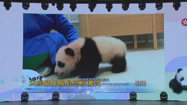 無綫新聞 TVB News