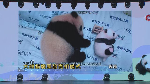 無綫新聞 TVB News