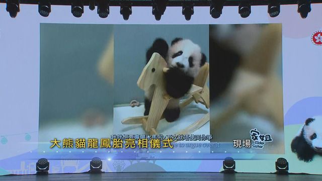 無綫新聞 TVB News