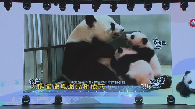 無綫新聞 TVB News