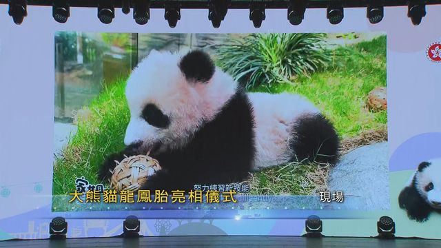 無綫新聞 TVB News