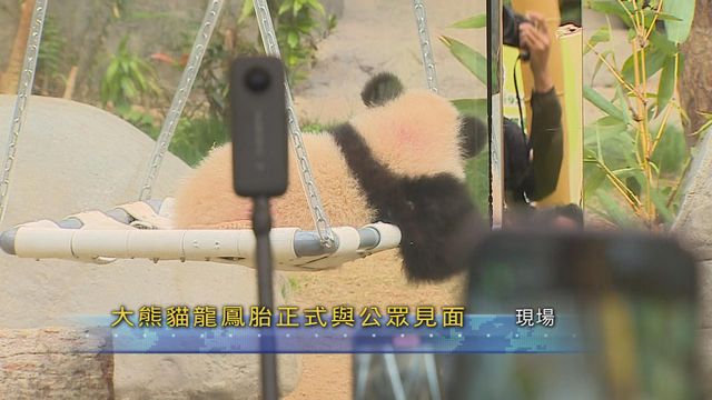 無綫新聞 TVB News