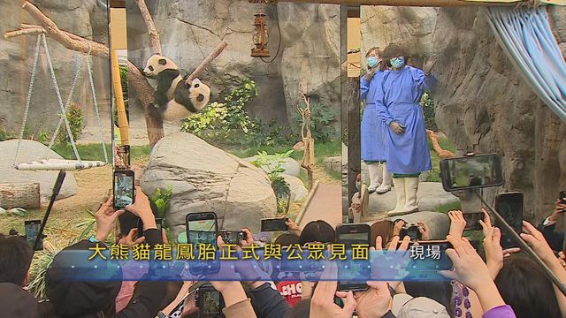 無綫新聞 TVB News