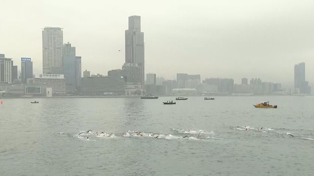 無綫新聞 TVB News 無綫新聞 TVB News