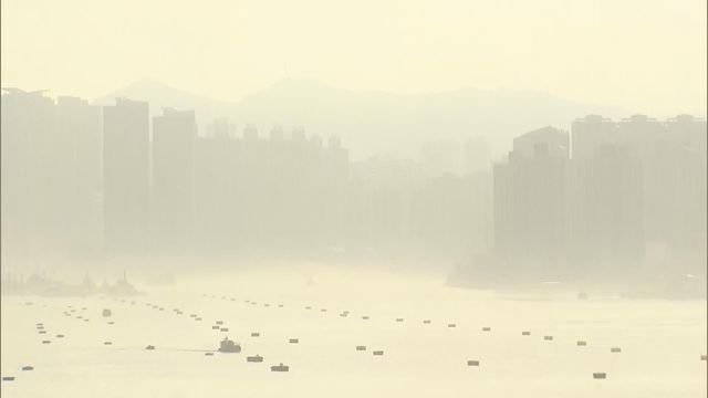 無綫新聞 TVB News 無綫新聞 TVB News