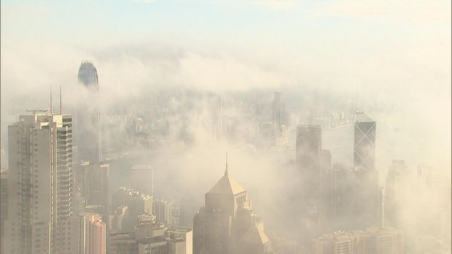 無綫新聞 TVB News 無綫新聞 TVB News